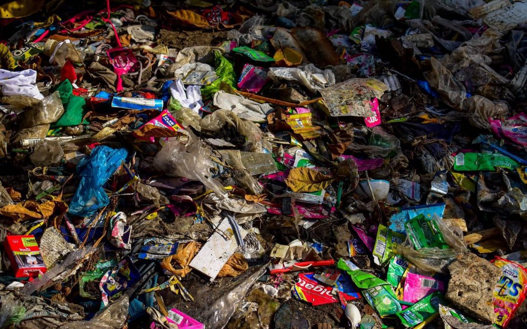 Bill on plastic producers’ role on waste management is not enough, say green groups