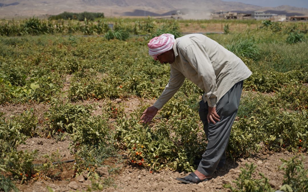 Water crisis threatens over 12 million people in Iraq and Syria