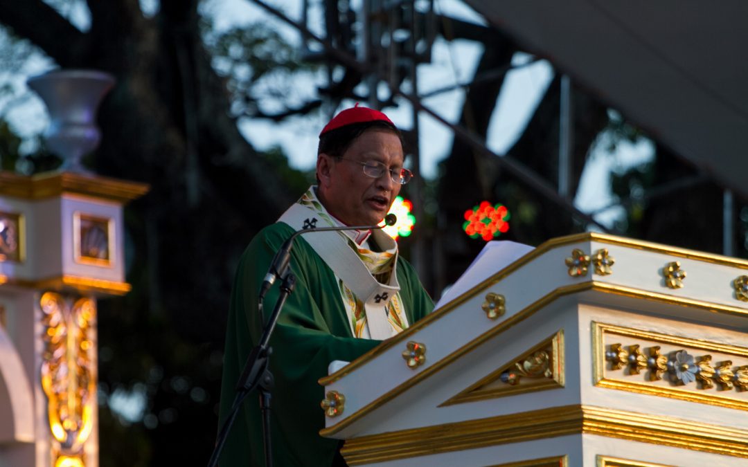 Church needs to address ‘sin of reckless manipulation of nature,’ says Cardinal Bo