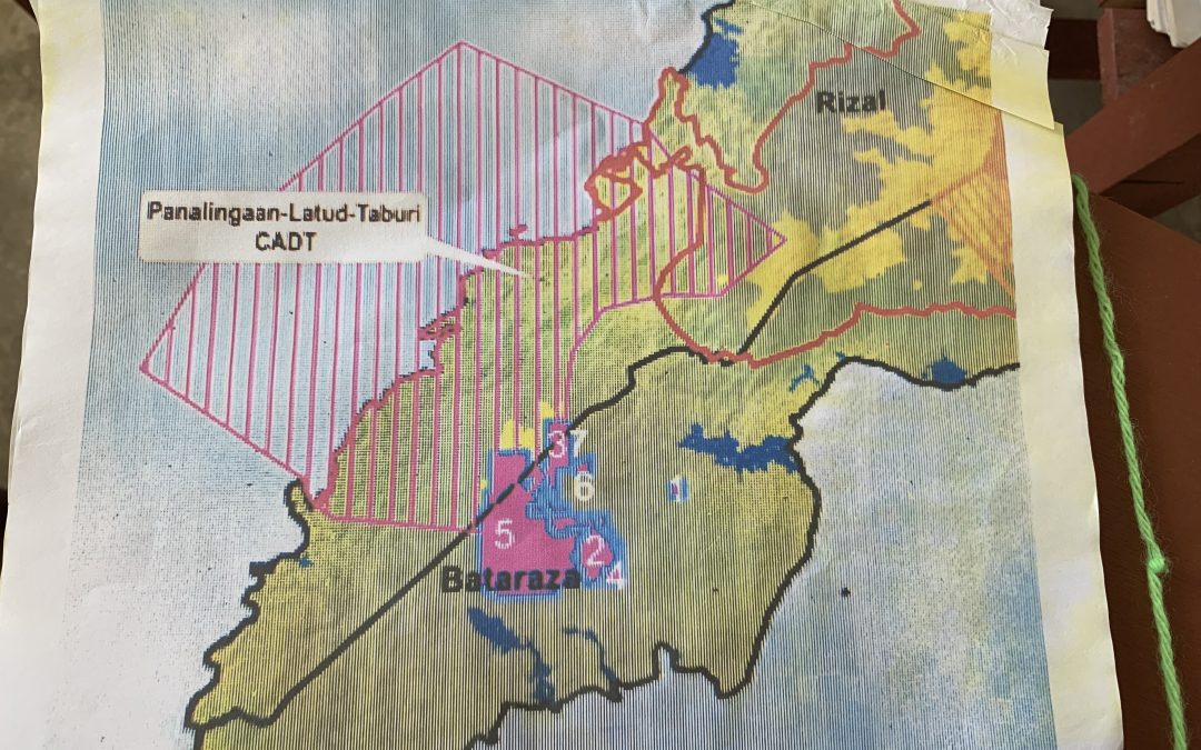 Palawan authorities rezone forest to allow mining