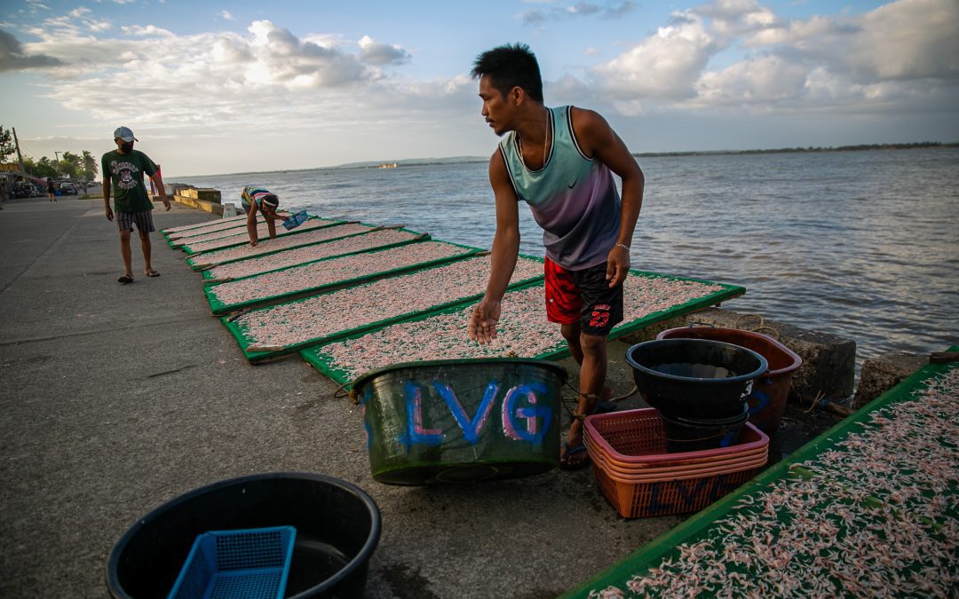 Troubled Waters: Aparri fisherfolk suffer poor aramang catch as gov’t dredging project begins