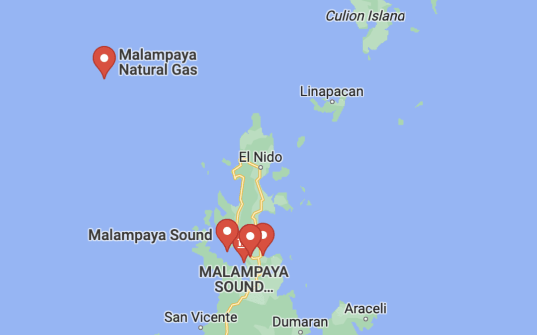 Former energy official urges gov’t takeover of Malampaya project