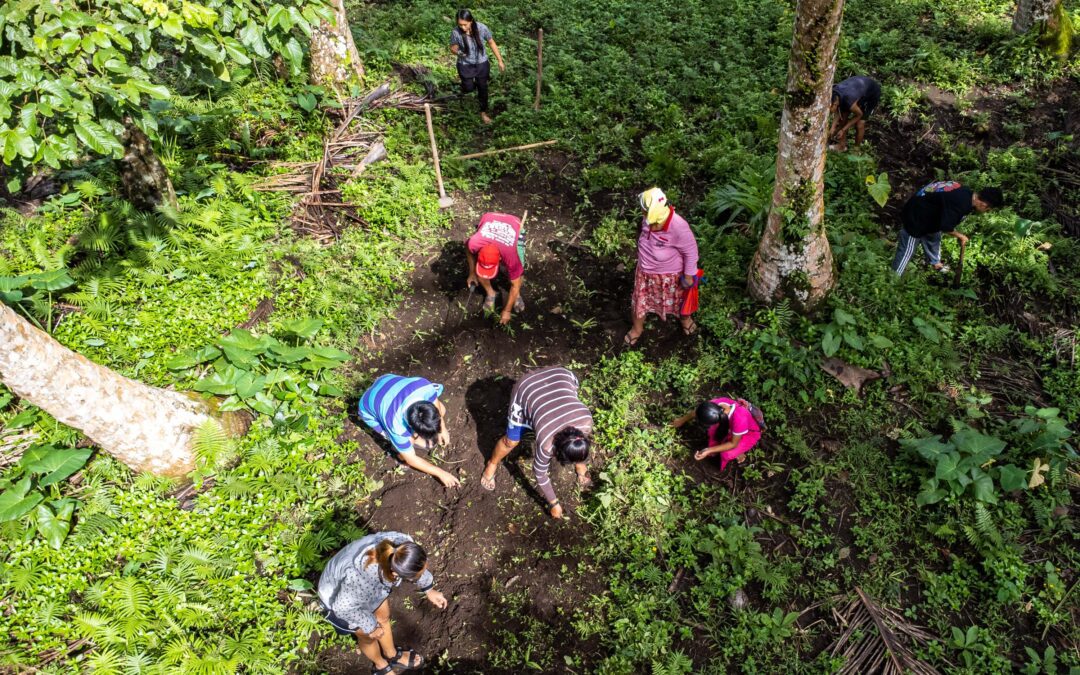 Farmers say no to proposed national land use law