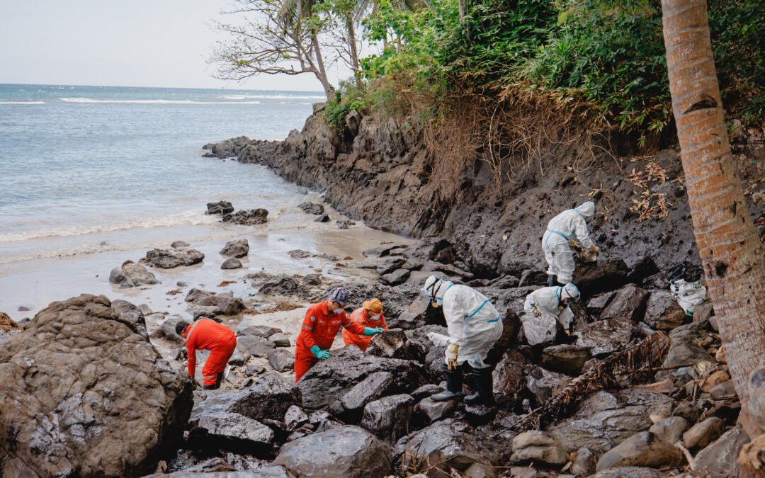 POLLUTER MUST PAY: STATEMENT OF PROTECT VIP ON THE INVOLVEMENT OF SAN MIGUEL CORPORATION IN THE OIL SPILL IN VERDE ISLAND PASSAGE