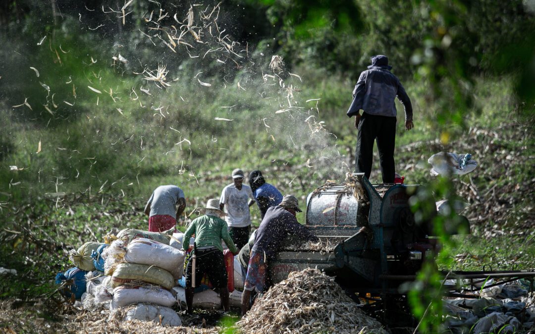 Farmers told to brace for dry spell as El Niño looms